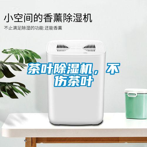 茶葉除濕機，不傷茶葉