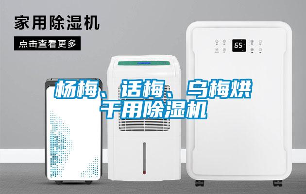 楊梅、話(huà)梅、烏梅烘干用除濕機
