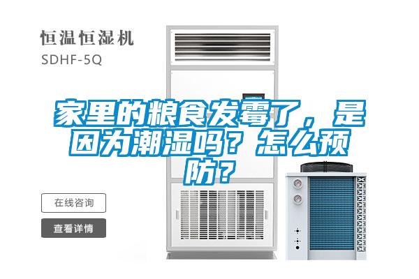 家里的糧食發(fā)霉了，是因為潮濕嗎？怎么預防？