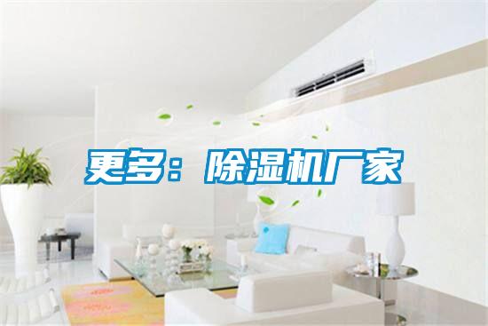 更多：除濕機廠(chǎng)家