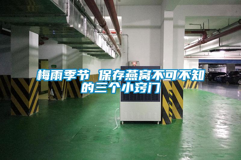 梅雨季節 保存燕窩不可不知的三個(gè)小竅門(mén)