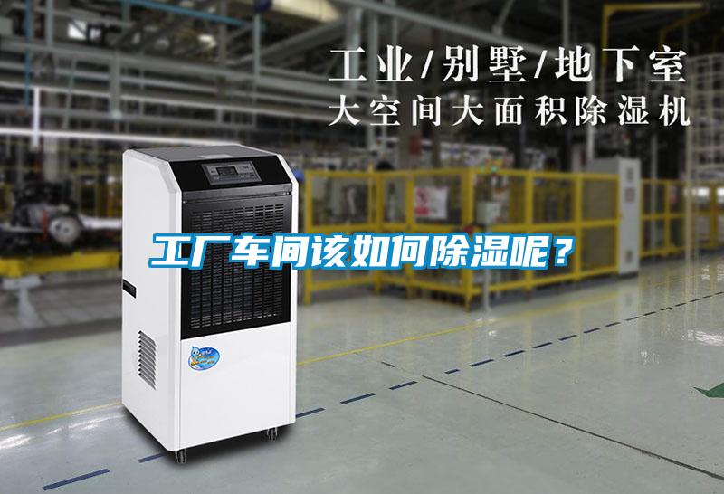 工廠(chǎng)車(chē)間該如何除濕呢？