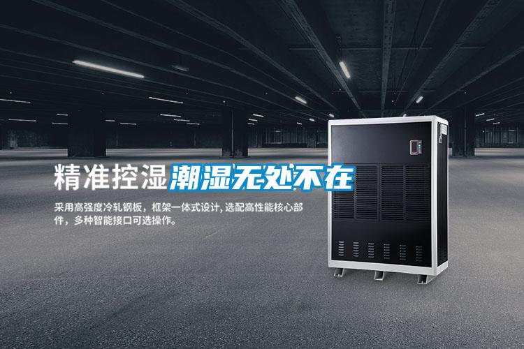 潮濕無(wú)處不在