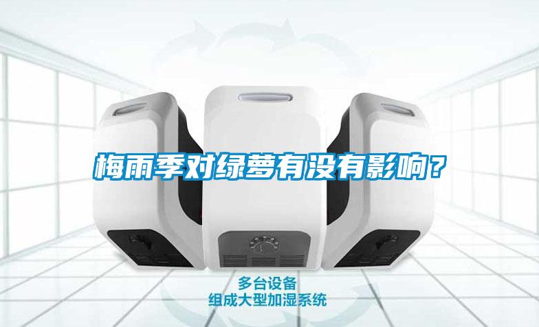 梅雨季對綠蘿有沒(méi)有影響？