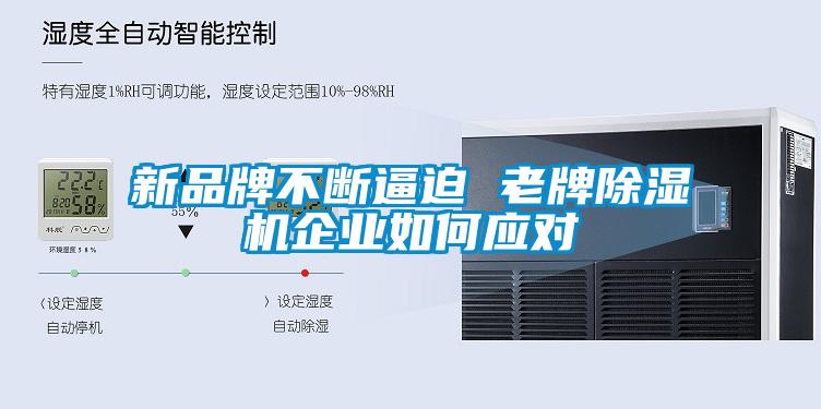 新品牌不斷逼迫 老牌除濕機企業(yè)如何應對