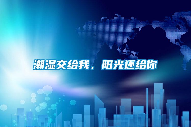 潮濕交給我，陽(yáng)光還給你