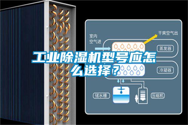 工業(yè)除濕機型號應怎么選擇？