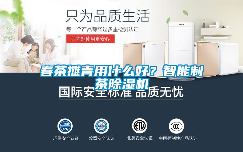 春茶攤青用什么好？智能制茶除濕機