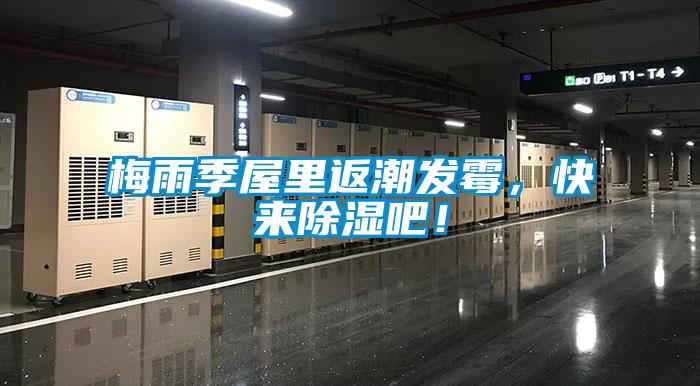 梅雨季屋里返潮發(fā)霉，快來(lái)除濕吧！