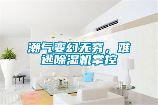 潮氣變幻無(wú)窮，難逃除濕機掌控
