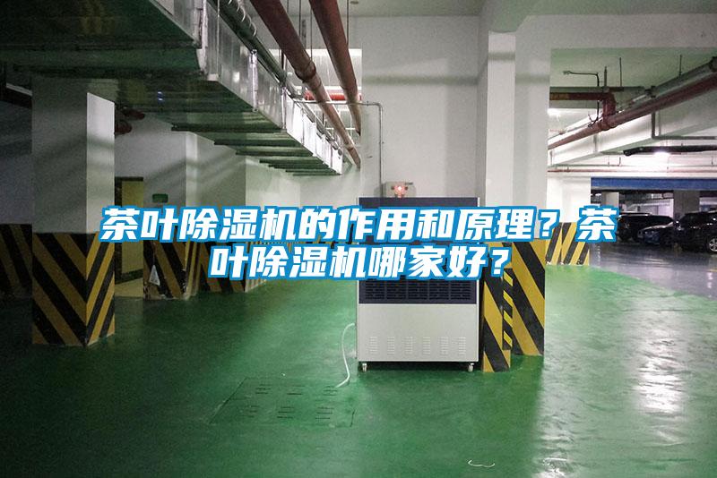 茶葉除濕機的作用和原理？茶葉除濕機哪家好？