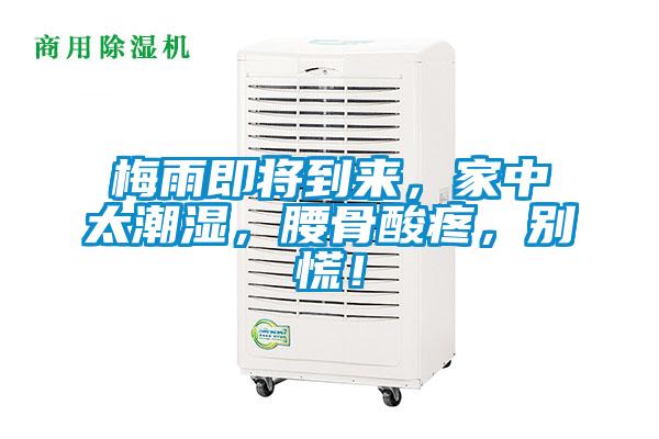 梅雨即將到來(lái)，家中太潮濕，腰骨酸疼，別慌！