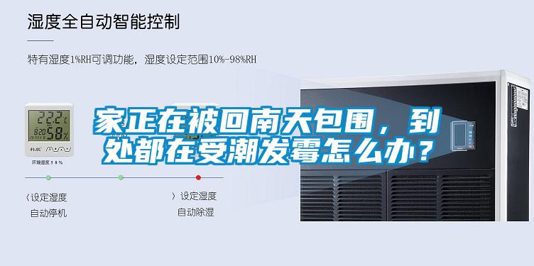 家正在被回南天包圍，到處都在受潮發(fā)霉怎么辦？