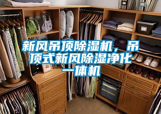 新風(fēng)吊頂除濕機，吊頂式新風(fēng)除濕凈化一體機