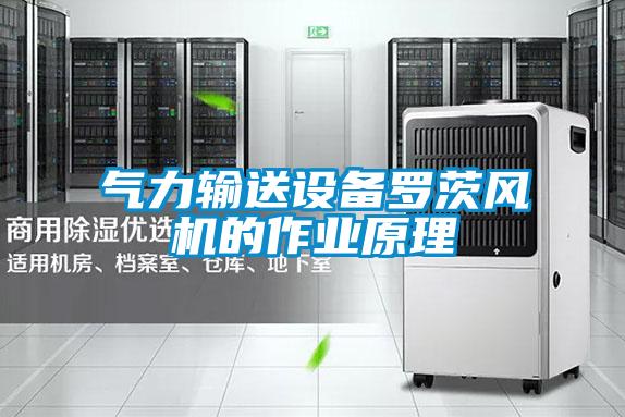 氣力輸送設備羅茨風(fēng)機的作業(yè)原理