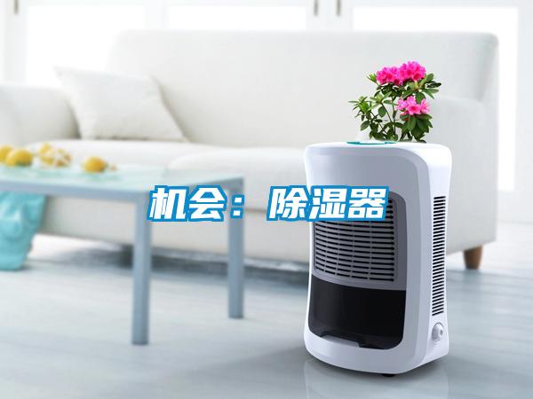 機會(huì )：除濕器
