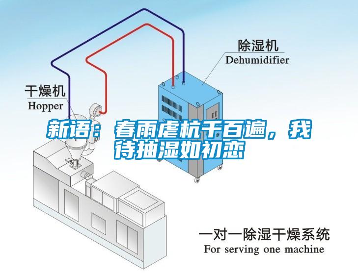 新語(yǔ)：春雨虐杭千百遍，我待抽濕如初戀