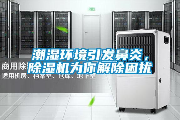 潮濕環(huán)境引發(fā)鼻炎，除濕機為你解除困擾
