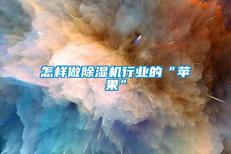 怎樣做除濕機行業(yè)的“蘋(píng)果”