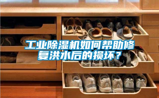 工業(yè)除濕機如何幫助修復洪水后的損壞？