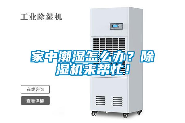 家中潮濕怎么辦？除濕機來(lái)幫忙！