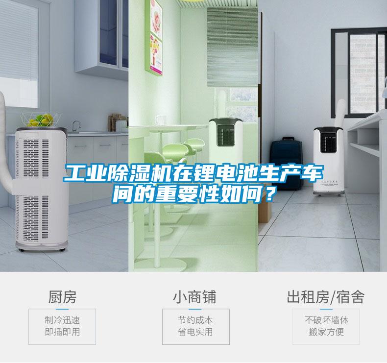 工業(yè)除濕機在鋰電池生產(chǎn)車(chē)間的重要性如何？