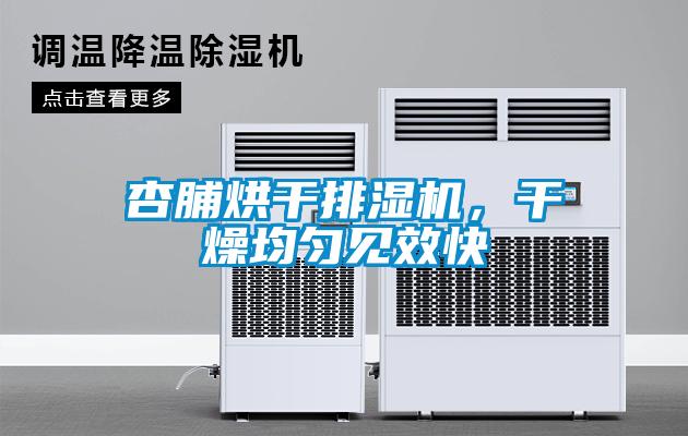 杏脯烘干排濕機，干燥均勻見(jiàn)效快