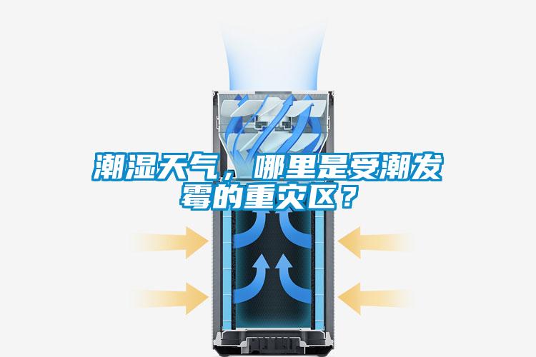 潮濕天氣，哪里是受潮發(fā)霉的重災區？