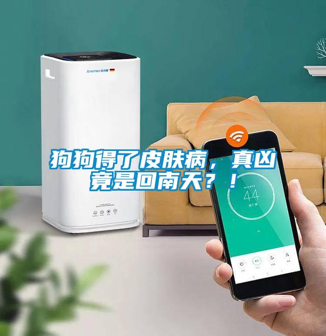 狗狗得了皮膚病，真兇竟是回南天？！