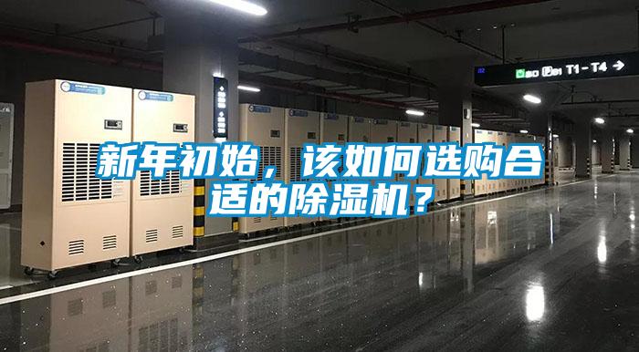 新年初始，該如何選購合適的除濕機？