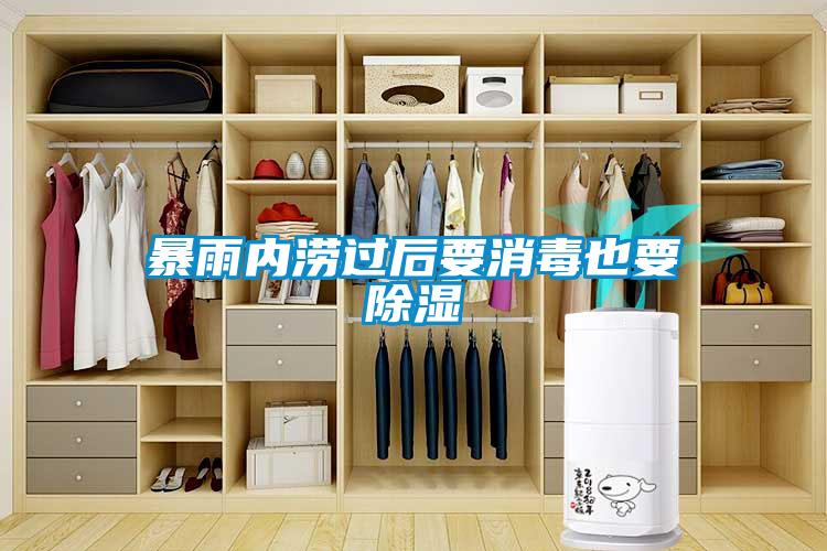 暴雨內澇過(guò)后要消毒也要除濕