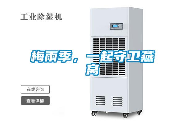 梅雨季，一起守衛燕窩