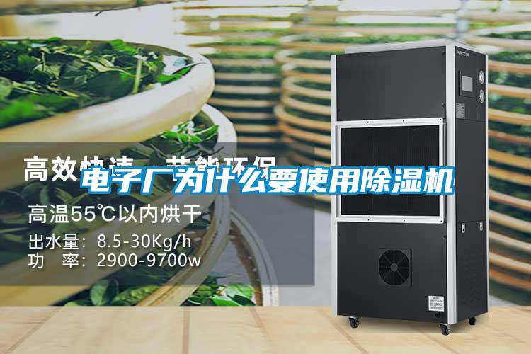 電子廠(chǎng)為什么要使用除濕機