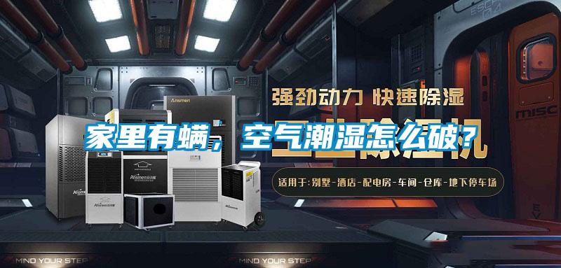 家里有螨，空氣潮濕怎么破？