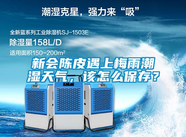 新會(huì )陳皮遇上梅雨潮濕天氣，該怎么保存？