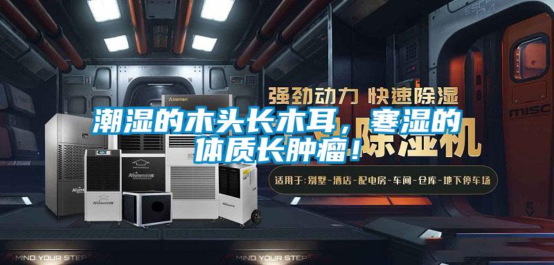 潮濕的木頭長(cháng)木耳，寒濕的體質(zhì)長(cháng)腫瘤！