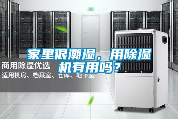 家里很潮濕，用除濕機有用嗎？