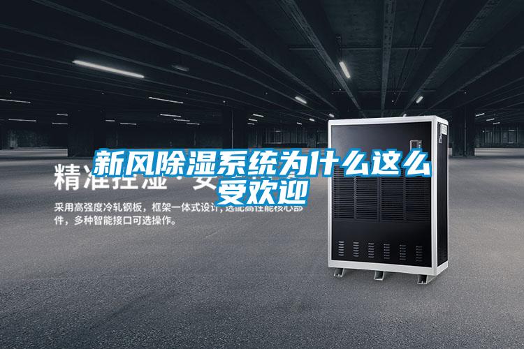 新風(fēng)除濕系統為什么這么受歡迎