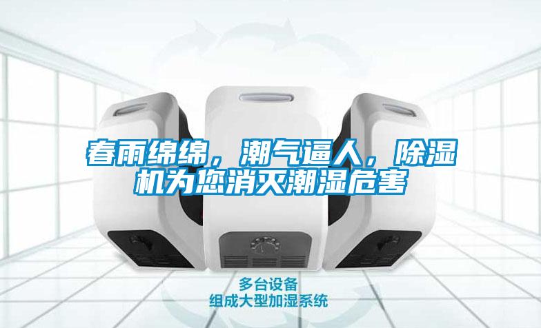 春雨綿綿，潮氣逼人，除濕機為您消滅潮濕危害