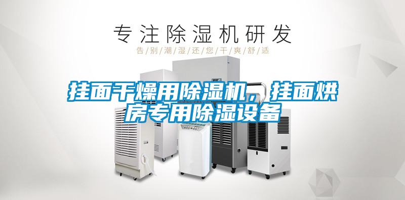 掛面干燥用除濕機，掛面烘房專(zhuān)用除濕設備