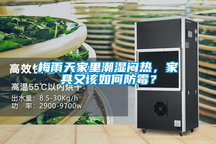 梅雨天家里潮濕悶熱，家具又該如何防霉？