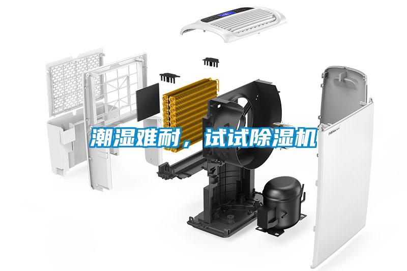 潮濕難耐，試試除濕機