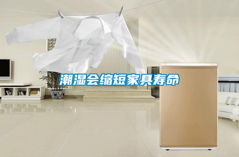 潮濕會(huì )縮短家具壽命