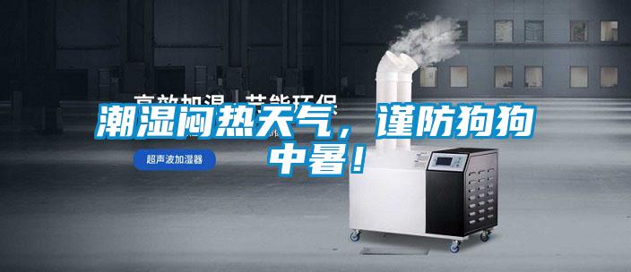 潮濕悶熱天氣，謹防狗狗中暑！