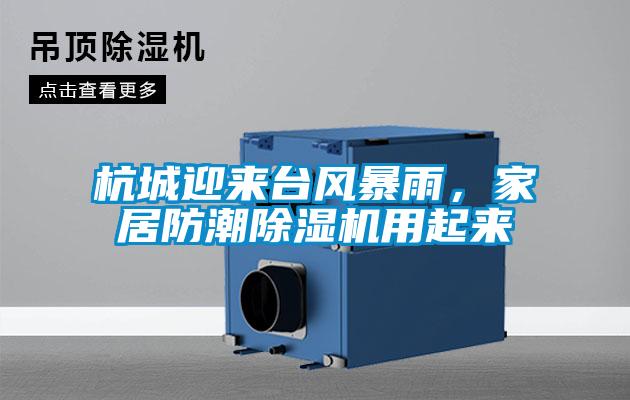 杭城迎來(lái)臺風(fēng)暴雨，家居防潮除濕機用起來(lái)