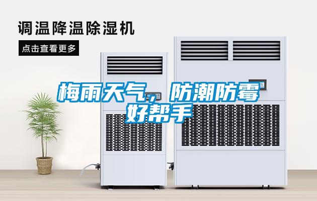 梅雨天氣，防潮防霉好幫手