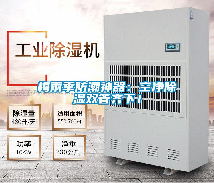梅雨季防潮神器：空凈除濕雙管齊下！