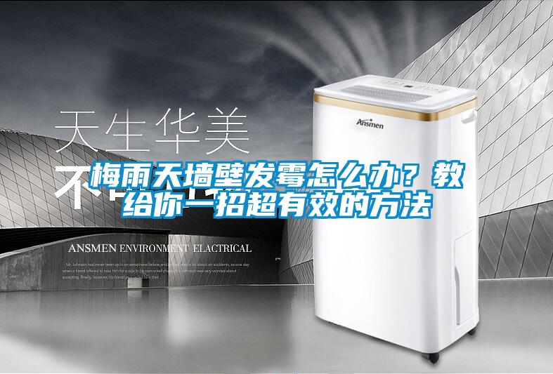 梅雨天墻壁發(fā)霉怎么辦？教給你一招超有效的方法