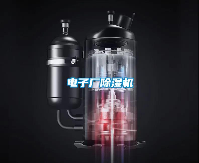 電子廠(chǎng)除濕機