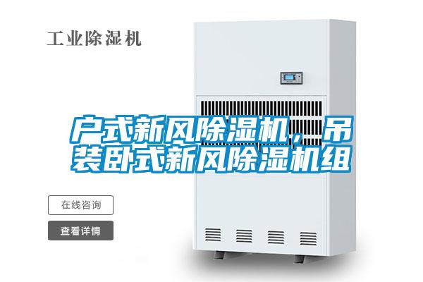 戶(hù)式新風(fēng)除濕機，吊裝臥式新風(fēng)除濕機組